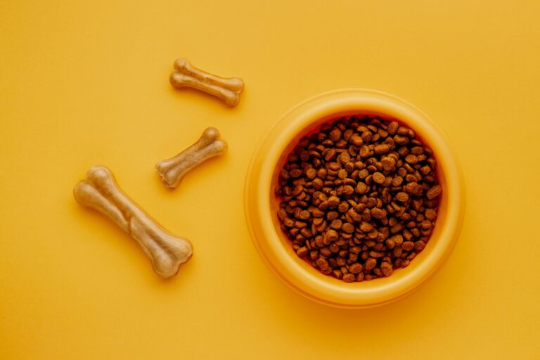 Jak dobierać karmę dla szczeniąt?